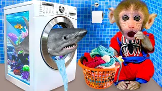 Bon Bon Monkey transformed Washing Machine into a Fish Tank and The End So funny