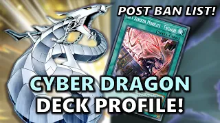 Cyber Dragon Deck Profile Post April 2024 Ban List! | Sky Striker Package | OTK + Grind!