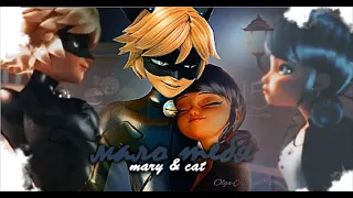 Chat Hoir & Marinette || мало тебя