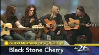 Black Stone Cherry performance