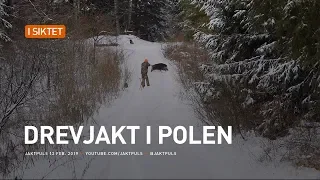 Drevjakt i Polen