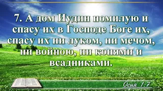 ВидеоБиблия Книга пророка Осии глава 1 с музыкой Бондаренко