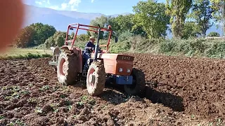 Same Corsaro 70 con aratro idraulico Nardi in aratura by nonno Bruno. rural agriculture