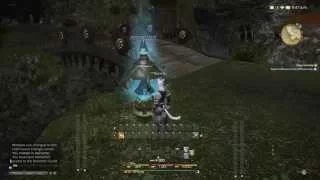 Aethernet Guide New Gridania FFXIV