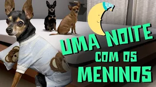 PASSAMOS UMA NOITE INTEIRA FILMANDO NOSSOS CACHORROS | ROTINA NOTURNA DOS PEQUENOS PRÍNCIPES