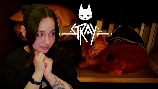 КТО ТАКИЕ АУТСАЙДЕРЫ  -  Stray (2)