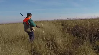 Hastings Pheasant Hunt