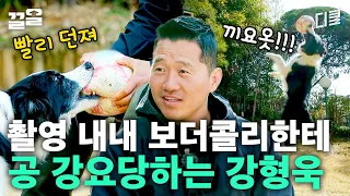 삼촌 잘 던져주지?! 에너자이저 보더콜리에게 공놀이 맛집이 된 강형욱ㅋㅋ 한 번 더? | 고독한훈련사