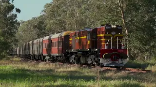6029 leads Southern Aurora Carriages from Goulburn to Thirlmere - 17 May 2022
