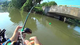 THE BITE WAS ON AS SOON AS MY BAITS HIT THE WATER