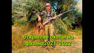 Открытие охоты на ФАЗАНА 2021-2022! С полем!! Фазана взяли и круто отметили день рождение!!!