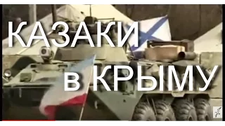 Атаман Кубанского казачьего войска Н.А. Долуда об участии казаков в событиях в Крыму