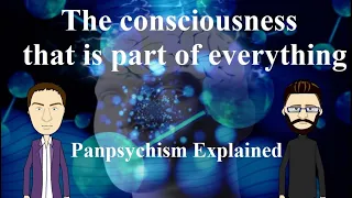 Panpsychism Explained