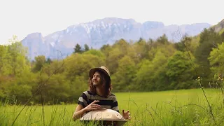 Composed by wild fauna with anthology finale (re-recorded audio)| 30 minutes handpan music | Fred Fk