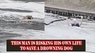 THIS MAN IS RISKING HIS OWN LIFE TO SAVE A DROWNING DOG