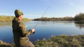 Спінінг на Десні. Хижак Змусив Ловити з Коліна