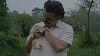 Narcos Pablo releasing the bunny