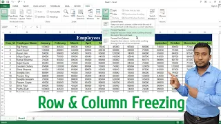 How to Freeze Multiple Rows and Columns in Excel | Freeze Rows and Columns in Excel