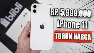 TURUN HARGA! Saatnya Beli iPhone 11 di Tahun 2024