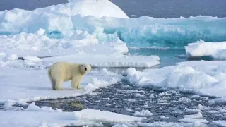 Was the Arctic Ocean Basin the Hyperborean Homeland?