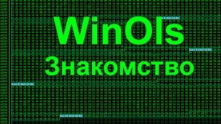 Все о Winols.  Знакомство с программой