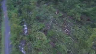 Springbrook Township Storm Damage