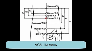 VC5 Ши-мэнь