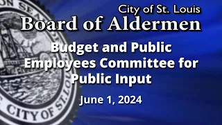Budget and Public Employees Committee for Public Input - June 1, 2024