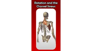 Rotation, Fascial Slings and the Channels of Chinese Medicine