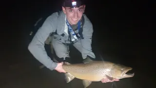 Landing the Brown Trout of a Lifetime! A True 30" PA Wild Brown! (Thanks for Signing the Petition!)