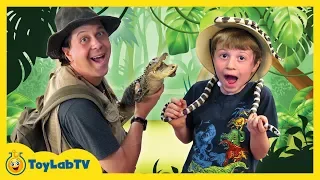 Giant Alligators at Kids Wildlife Park with Toy Hunt for Surprise Crocodile Toys from ToyLabTV