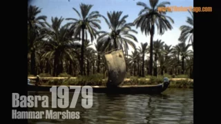 Hammar Marshes - Garden of Eden - Iraq 1979  البصرة