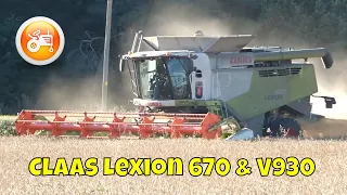 Harvest 2022 | Claas Lexion 670 combine with V930 header