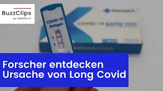 Forscher entdecken wohl Ursache von Long Covid