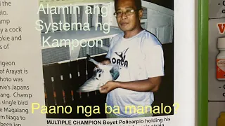 Professor Boyet Policarpio!  How to Win at Pigeon Racing!!! Part 1