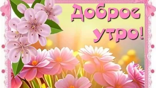 Весеннего настроения...Хорошего дня...Доброе утро 😊💖🌿