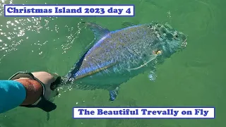 Christmas Island Kiribati Fly Fishing Day 4 - Bluefin and Giant Trevally #skorflyfishing