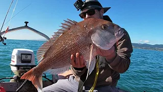 Kapiti Coast Boat Fishing Adventures. Workups & Snappers