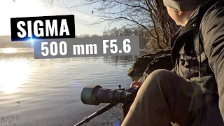 SIGMA 500mm F5.6 DG DN OS - Der kleine Profi für Tier und Wildlife | TEST | Praxistest | Review