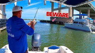 Bridge fishing is fun but be careful for this…