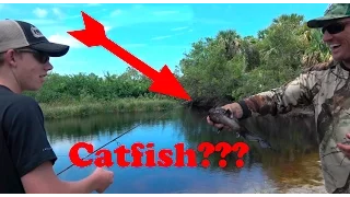 UN-identified Catfish!!! What is this??? Catch Clean and Cook!