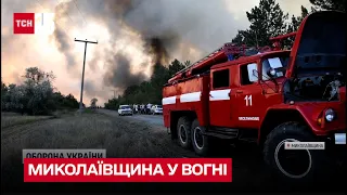 Миколаївщина у вогні: горить ліс - все у кіптяві і суцільній димовій завісі