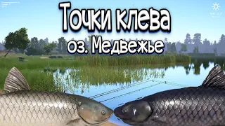 РР4 | Точки клёва | оз. Медвежье