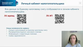 Вебинар ФНС 14 09 23 Петрова Е Г  «Как расшифровать сведения по Единому налоговому счету в личном ка