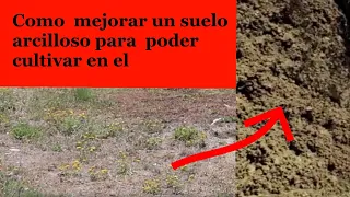 Como mejorar un suelo arcilloso a suelo perfecto para huerto