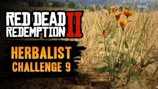 Red Dead Redemption 2 Herbalist Challenge #9 Guide - Pick one of each species of herb