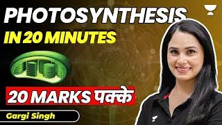 Photosynthesis in 20 minutes | 20 marks pakke | Biology | NEET 2023 | Gargi Singh