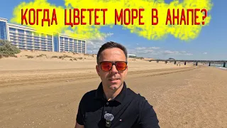 Когда цветет море в Анапе? Раскрываю все тайны! Самая точная информация!