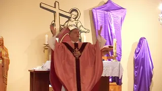 Fr. Mark Beard's Homily | "Witness" | 4th Sunday of Lent, Year B | 3/14/2021