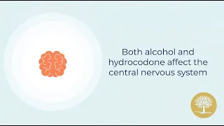 Effects of Mixing Hydrocodone and Alcohol - Recovery Village Ridgefield